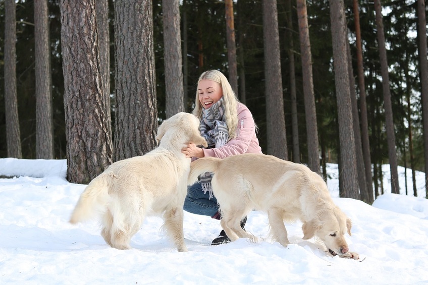 Clarissa leker med hundar - Clarissa leikkii koirien kanssa