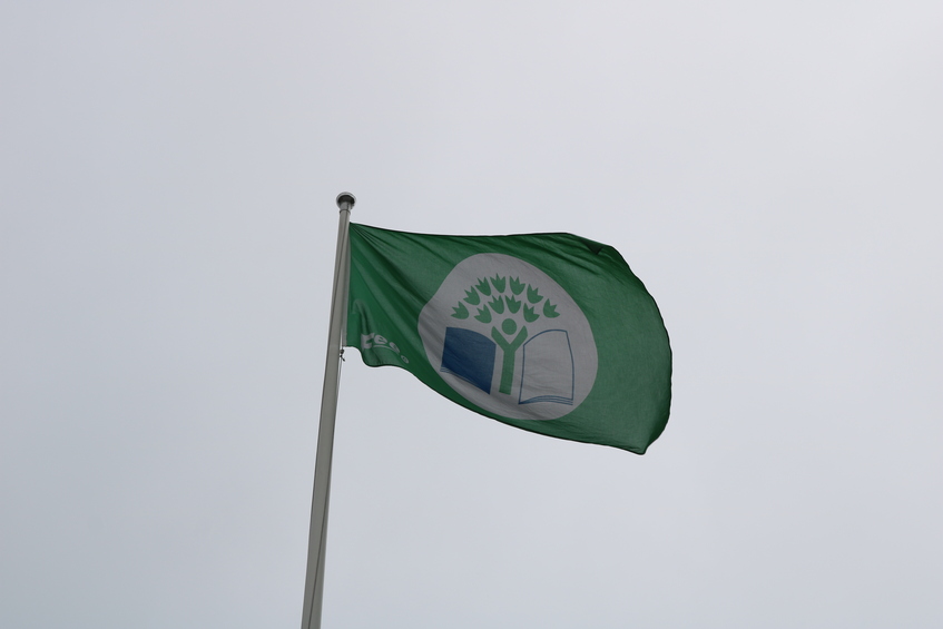 Grön flagg1